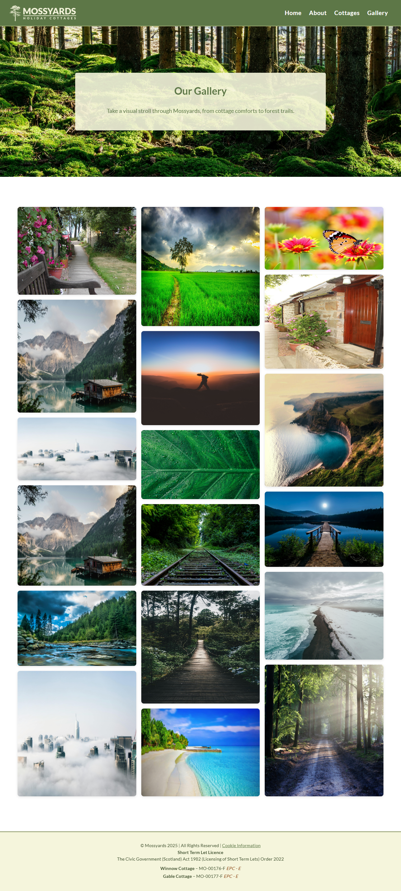 Gallery Kindle Screenshot